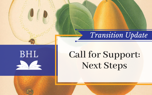 BHL Transition Update #5