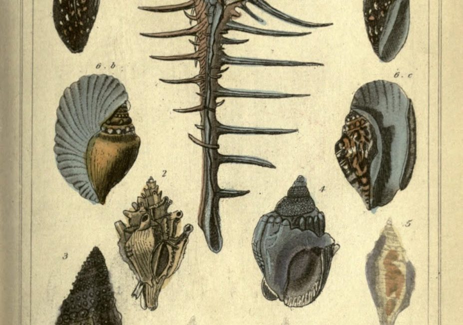 Read the full blog post