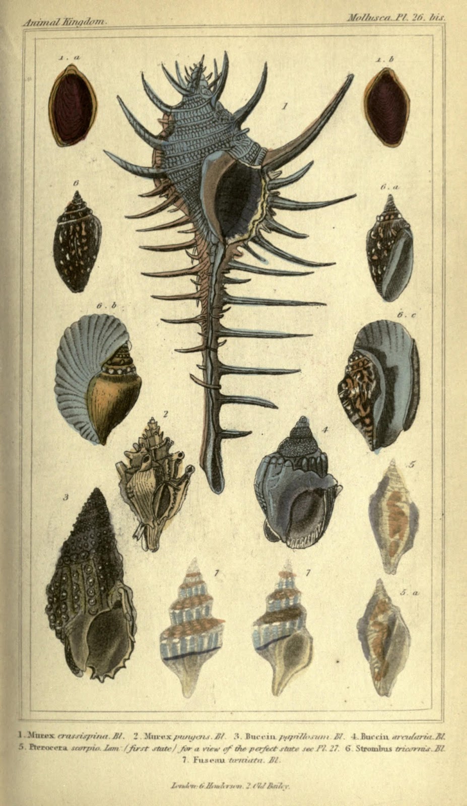 View Full Size Image