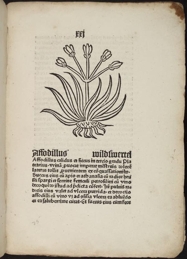 View Full Size Image