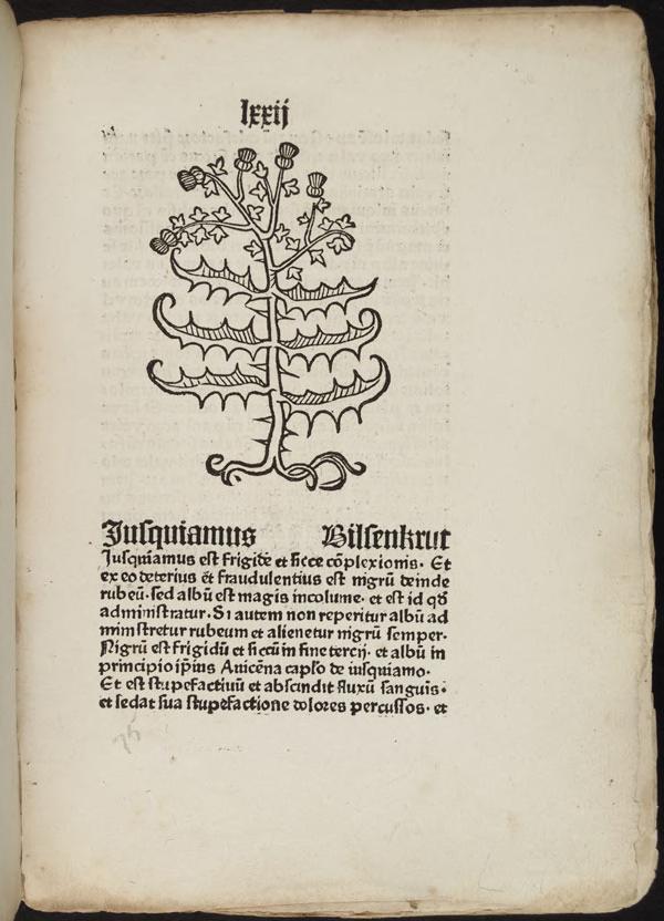 View Full Size Image