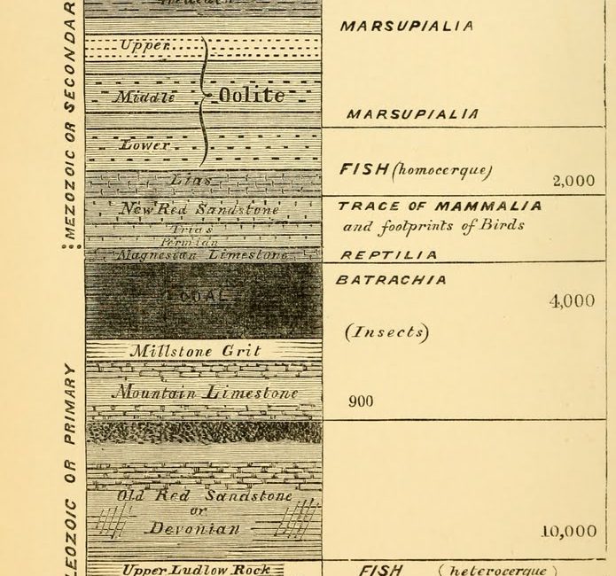 Read the full blog post