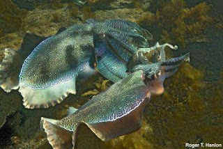 Read the full blog post