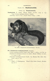 View Full Size Image