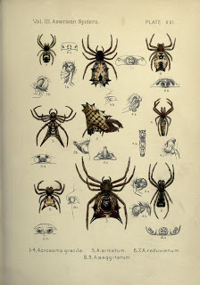 View Full Size Image