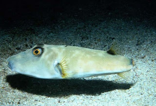 Read the full blog post