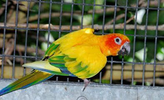 View Full Size Image