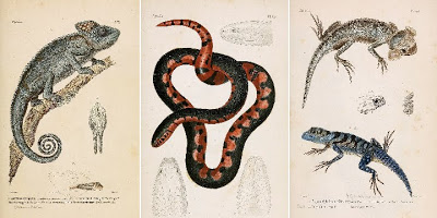 View Full Size Image