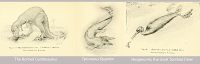 View Full Size Image