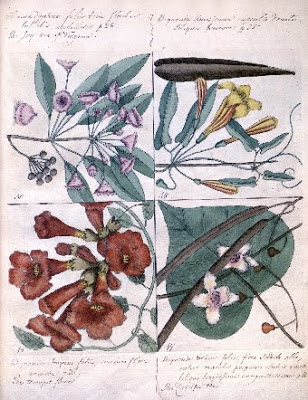 View Full Size Image