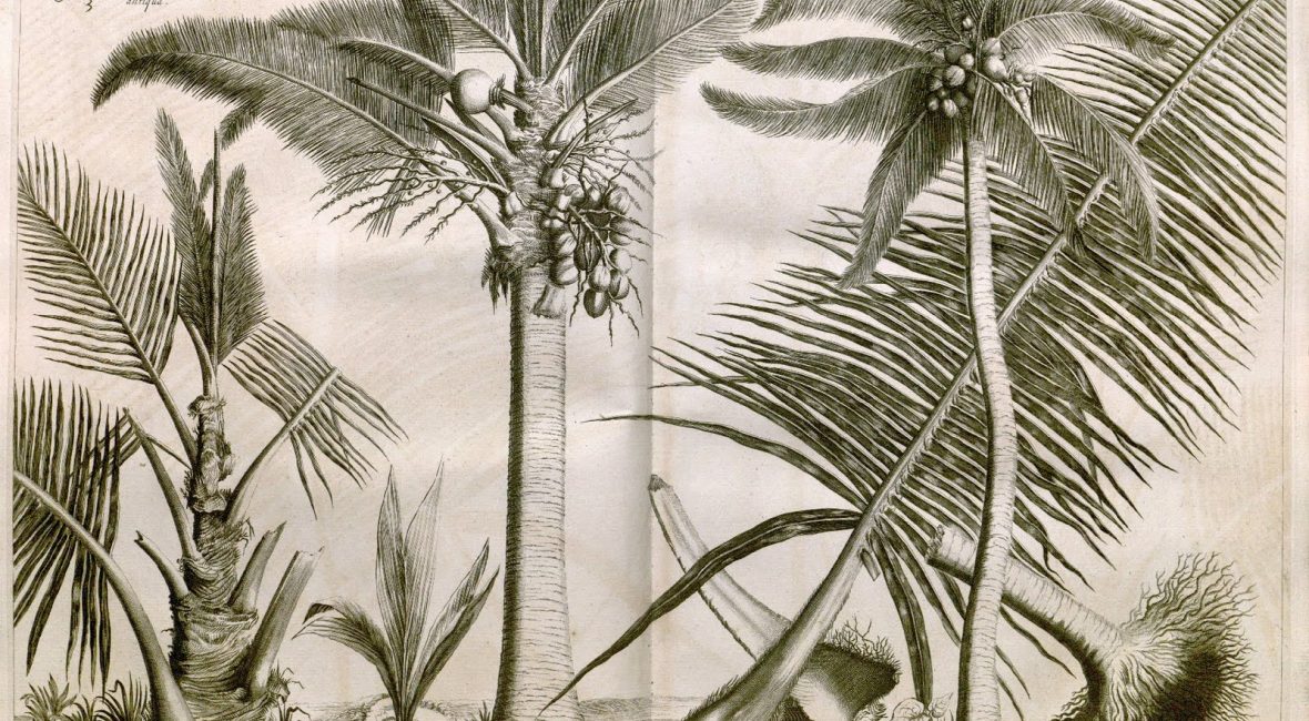 Read the full blog post