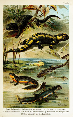 View Full Size Image