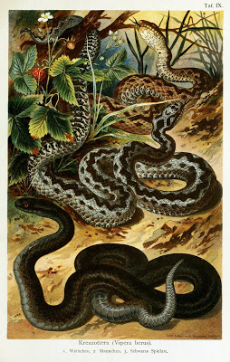 View Full Size Image