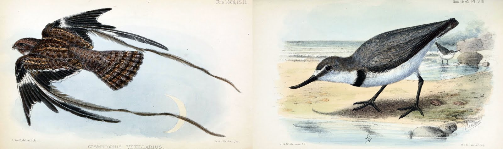 View Full Size Image