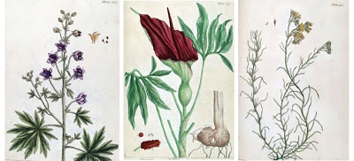 View Full Size Image