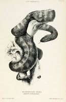 View Full Size Image