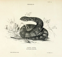 View Full Size Image