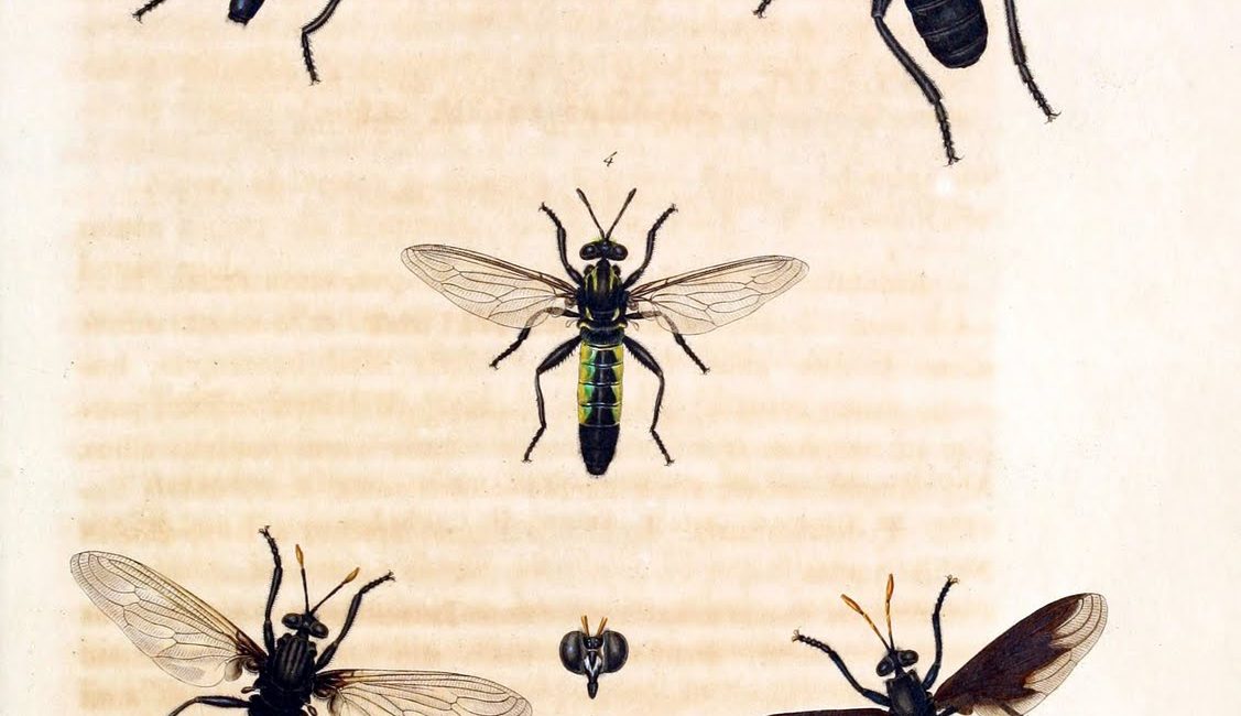 Read the full blog post