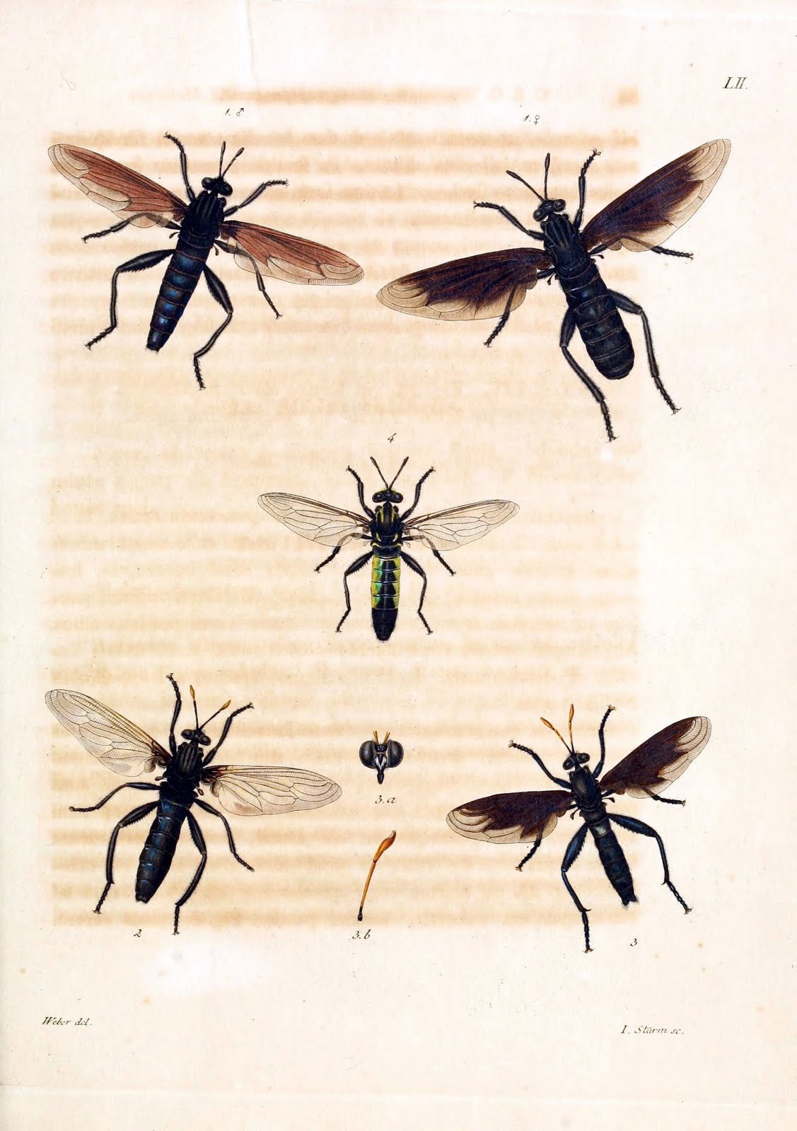 View Full Size Image