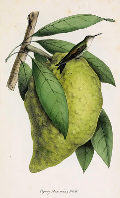 View Full Size Image