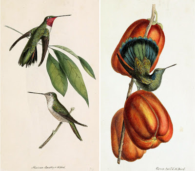 View Full Size Image