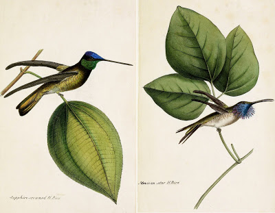 View Full Size Image