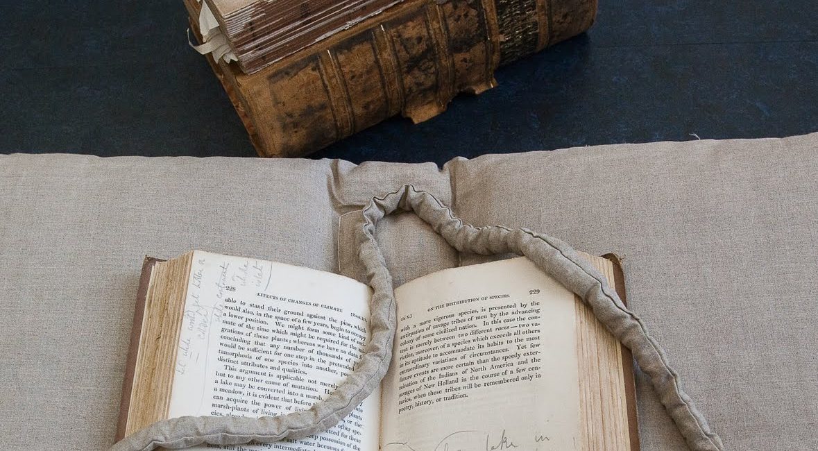 Read the full blog post