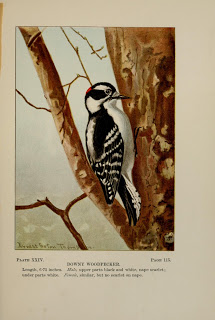 Read the full blog post