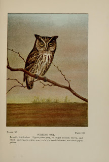 View Full Size Image