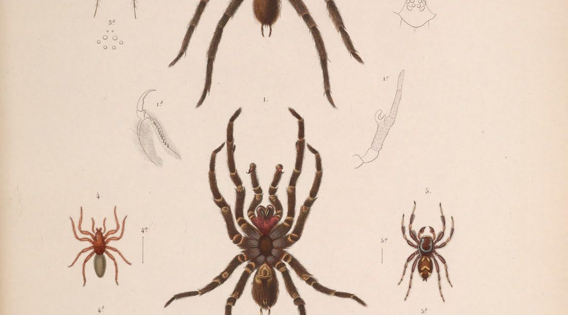 Read the full blog post