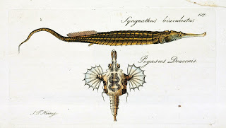 View Full Size Image