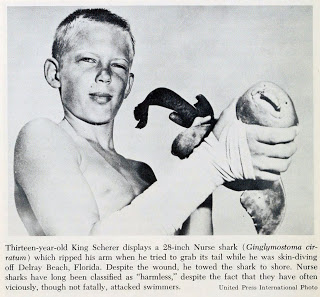 View Full Size Image