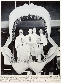 View Full Size Image