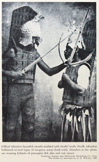 View Full Size Image