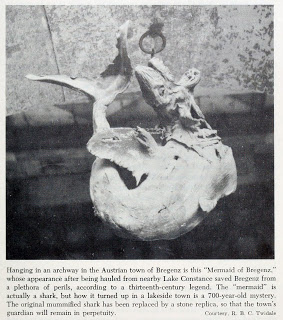 View Full Size Image