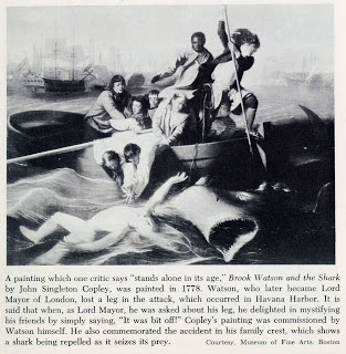 View Full Size Image