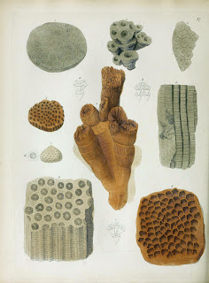 View Full Size Image