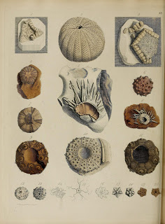 View Full Size Image