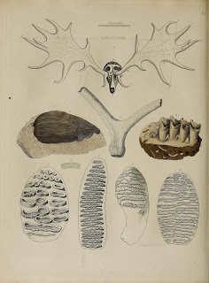 View Full Size Image