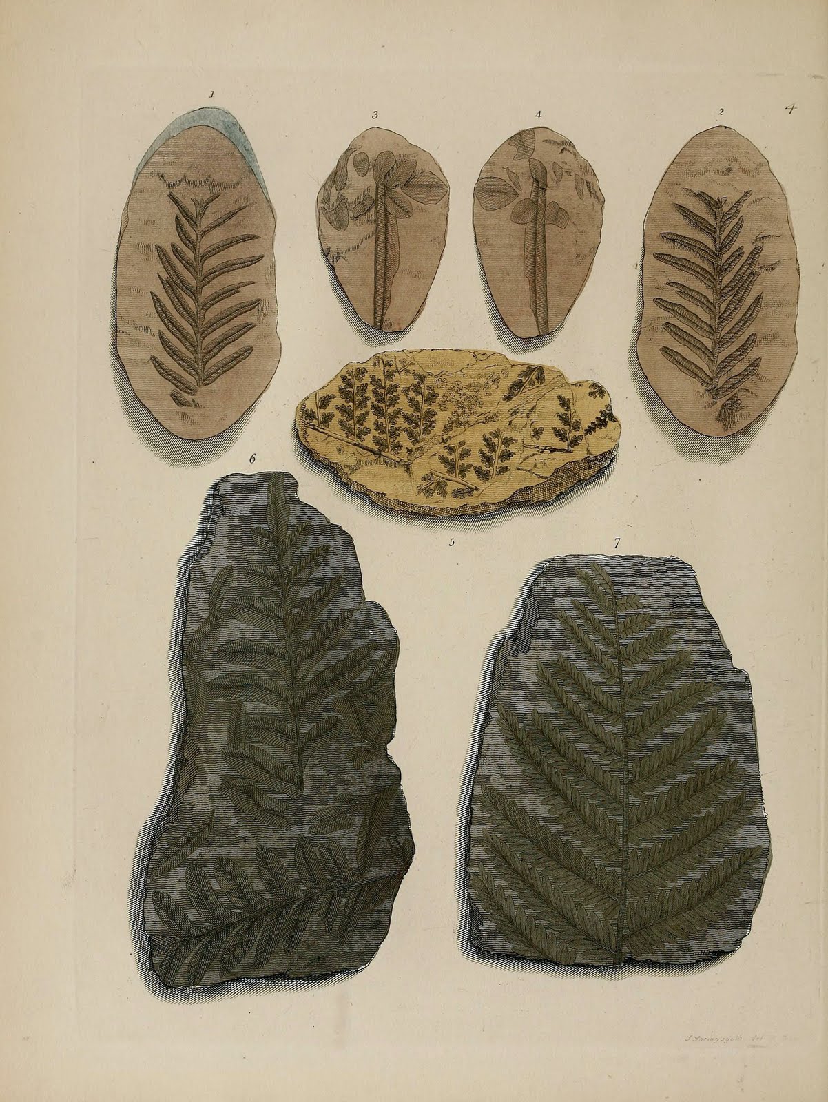 View Full Size Image