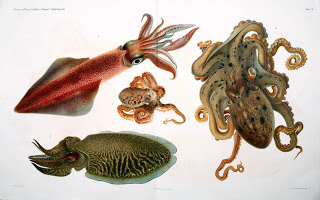 View Full Size Image