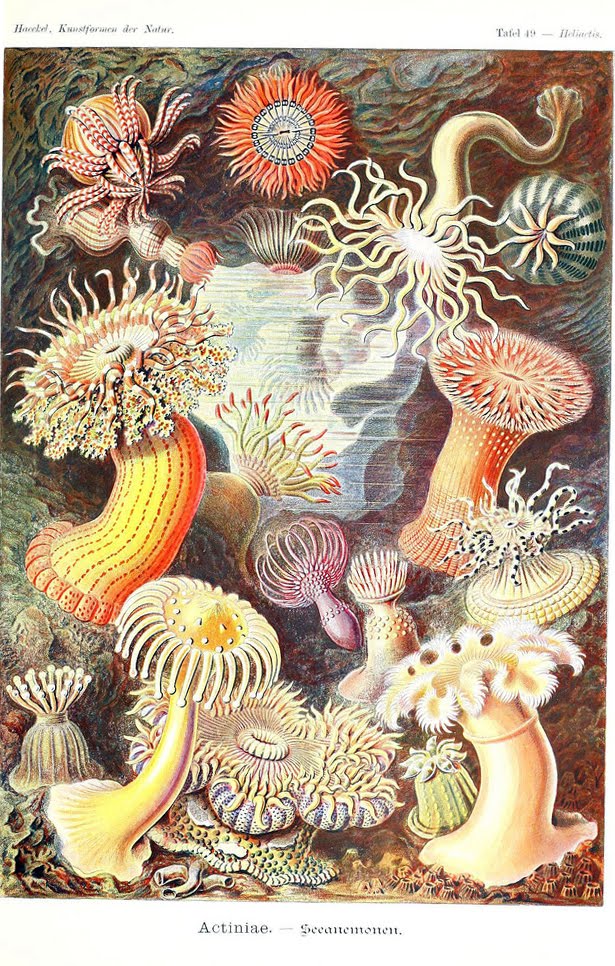 View Full Size Image