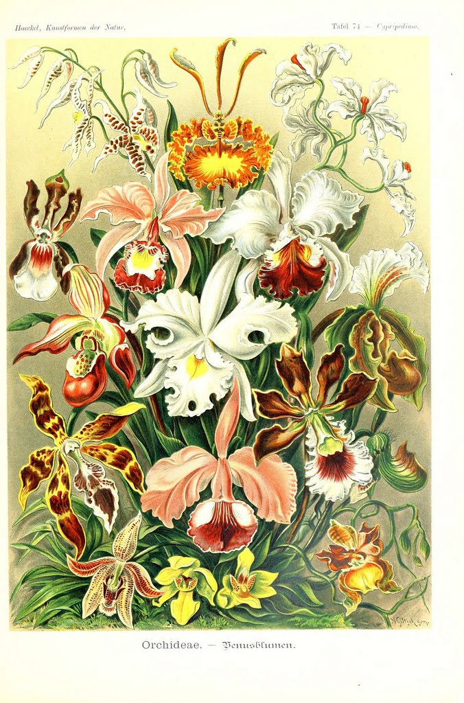 View Full Size Image