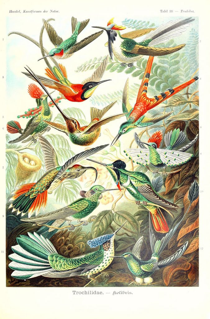 View Full Size Image