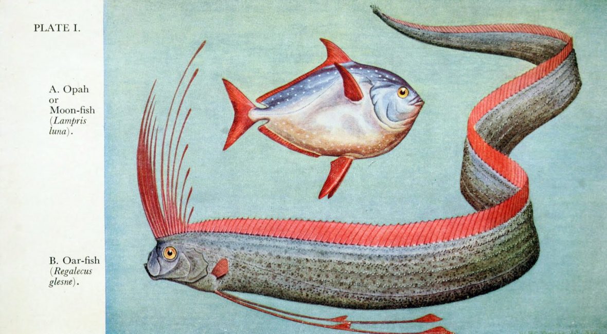 Read the full blog post