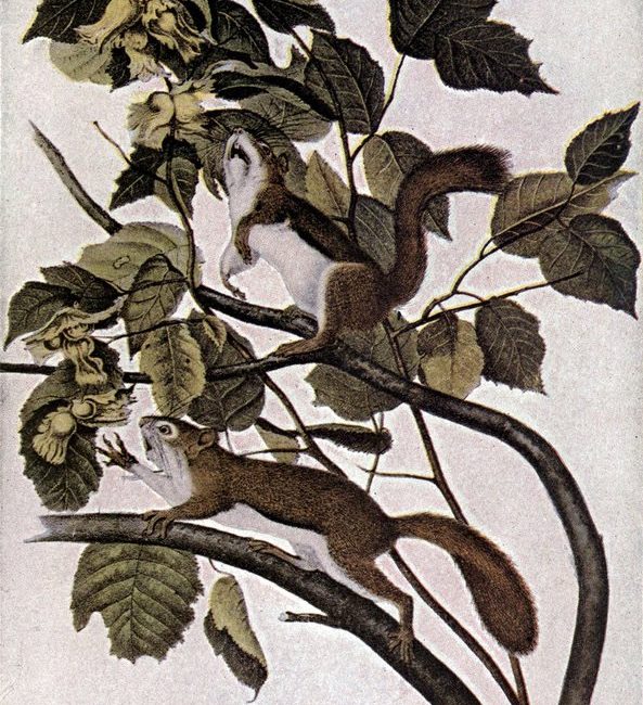 Read the full blog post