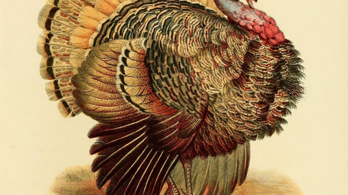 Read the full blog post