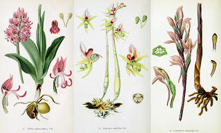 View Full Size Image