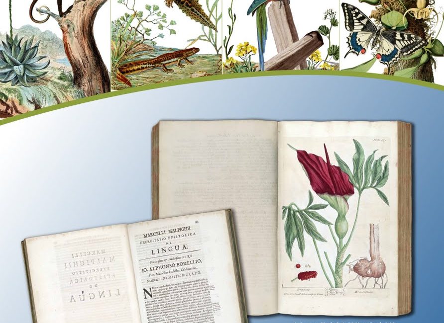 Read the full blog post