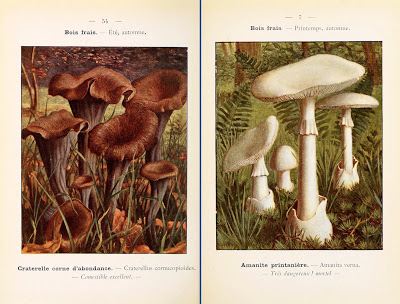 View Full Size Image